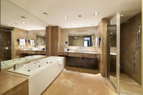 RADISSON BLU AIRPORT HOTEL IST